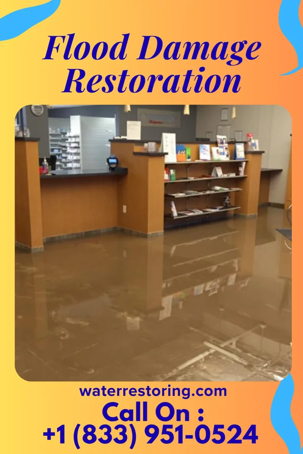 Flood Damage Restoration in Freedom Plains, NY