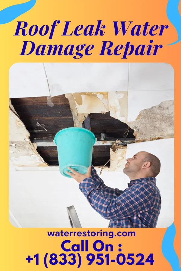 Roof Leak Water Damage Repair in Freedom Plains, NY