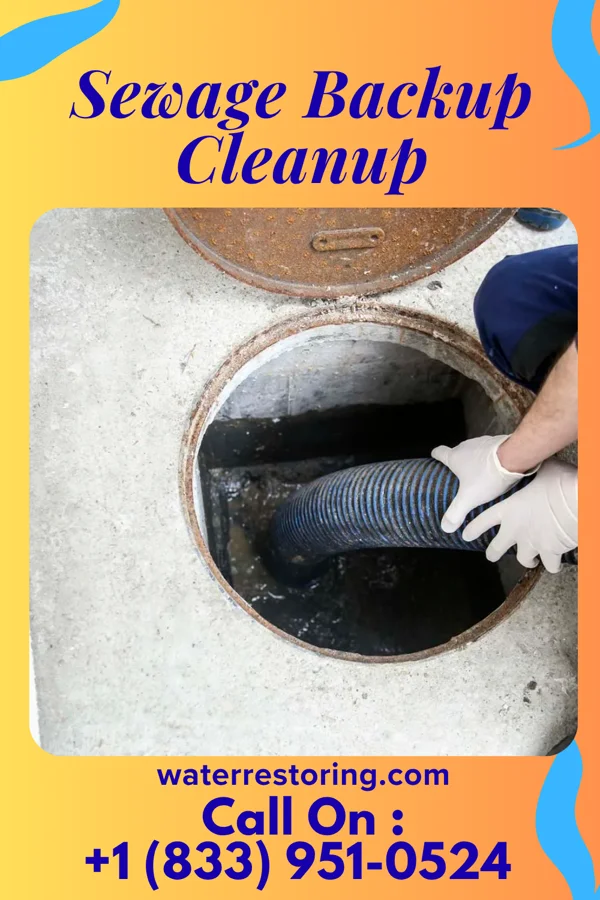 Sewage Backup Cleanup in Freedom Plains, NY