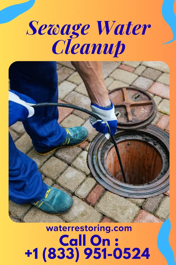 Sewage Water Cleanup in Freedom Plains, NY